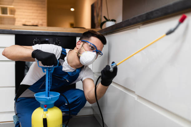 Best Affordable Pest Control Services  in Bunnell, FL