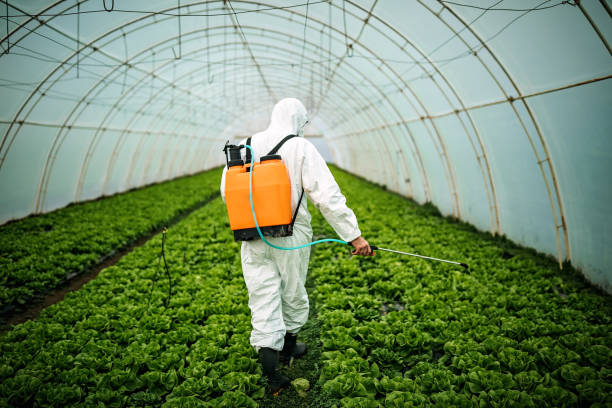 Best Pest Control for Restaurants  in Bunnell, FL