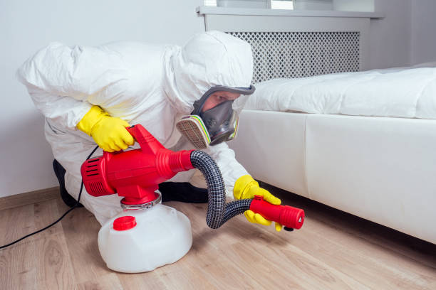 Reliable Bunnell, FL Pest Control Solutions